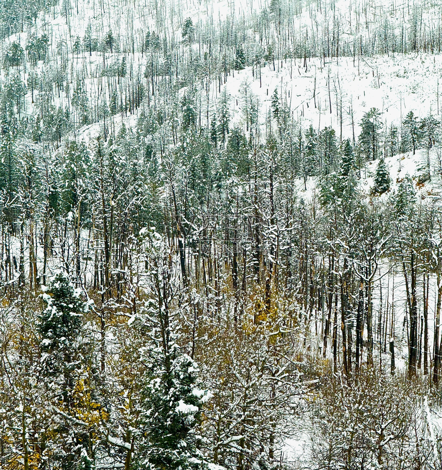 传奇公路国家风景公路，科罗拉多州照片摄影图片