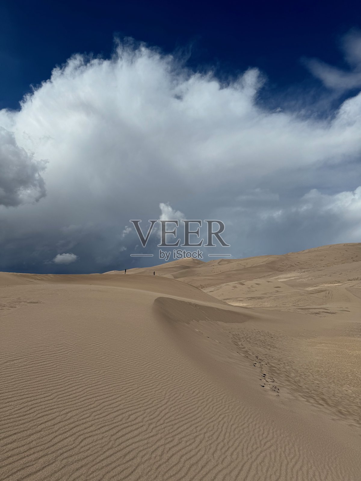 大沙丘国家公园照片摄影图片