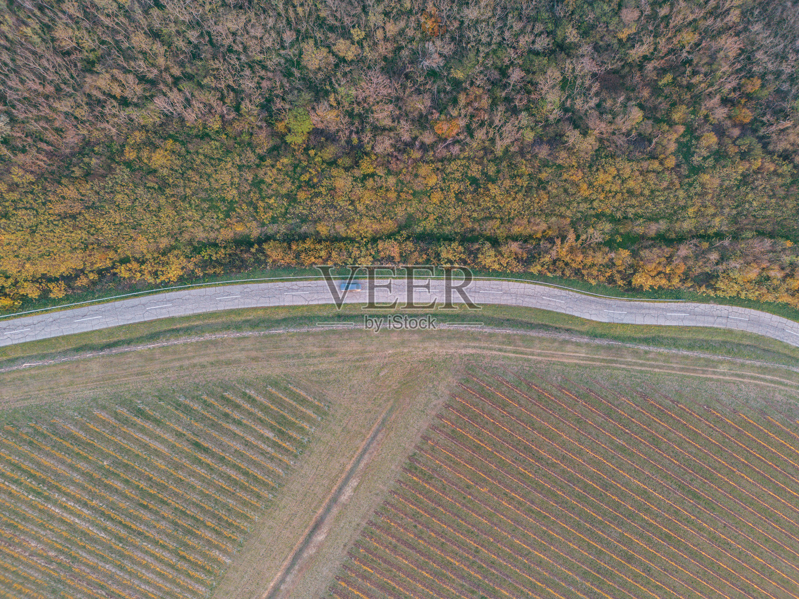 道路和森林的无人机视角。照片摄影图片