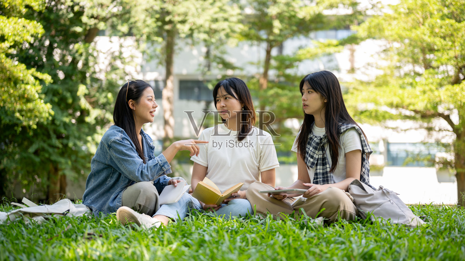 一群大学生坐在校园公园的草地上，进行交谈。照片摄影图片