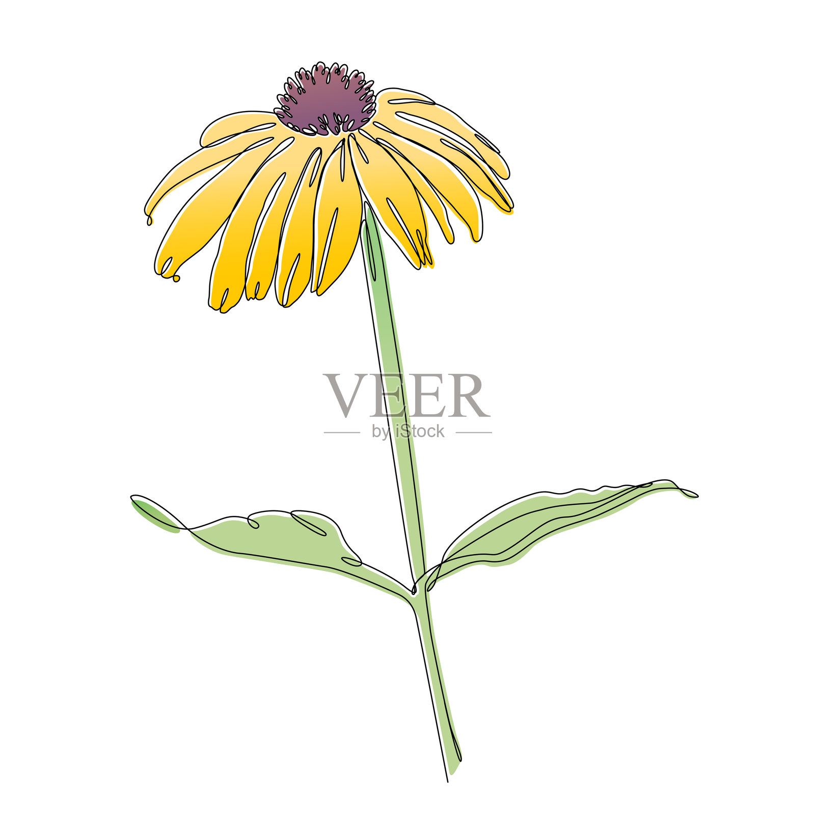 黑眼睛苏珊圆锥花连续线条绘制与可编辑的笔触和颜色元素插画图片素材