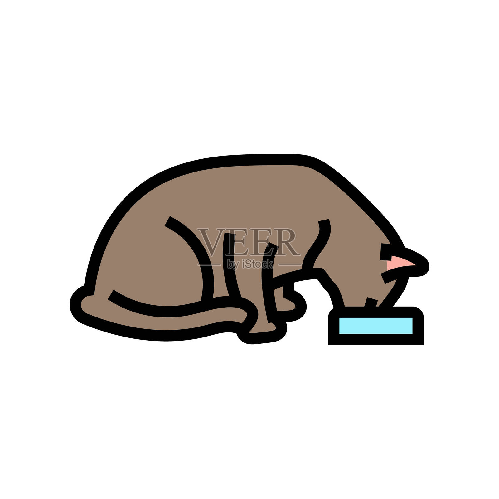 猫咪繁殖的食碗彩色图标插图插画图片素材