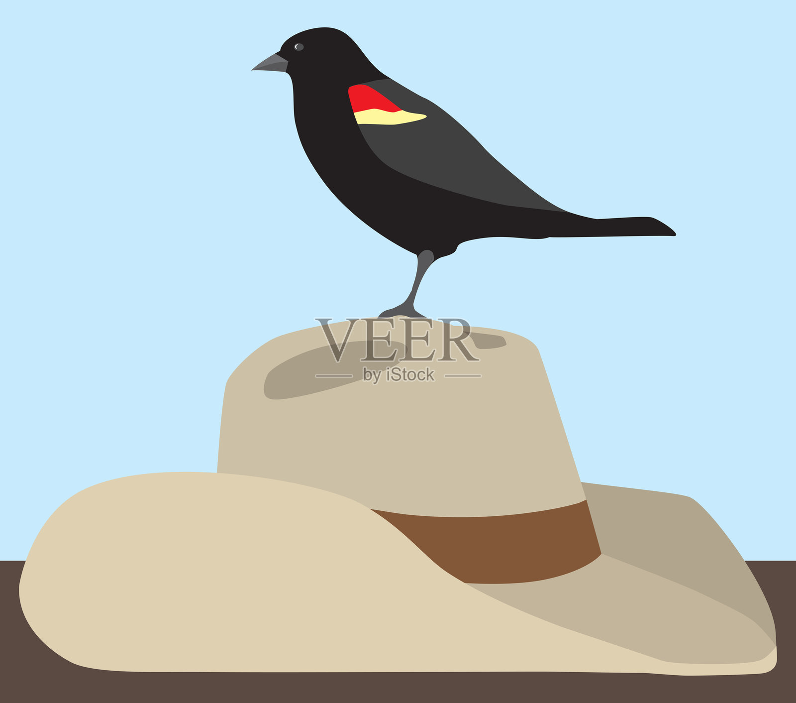 牛仔帽上的鸟插画图片素材