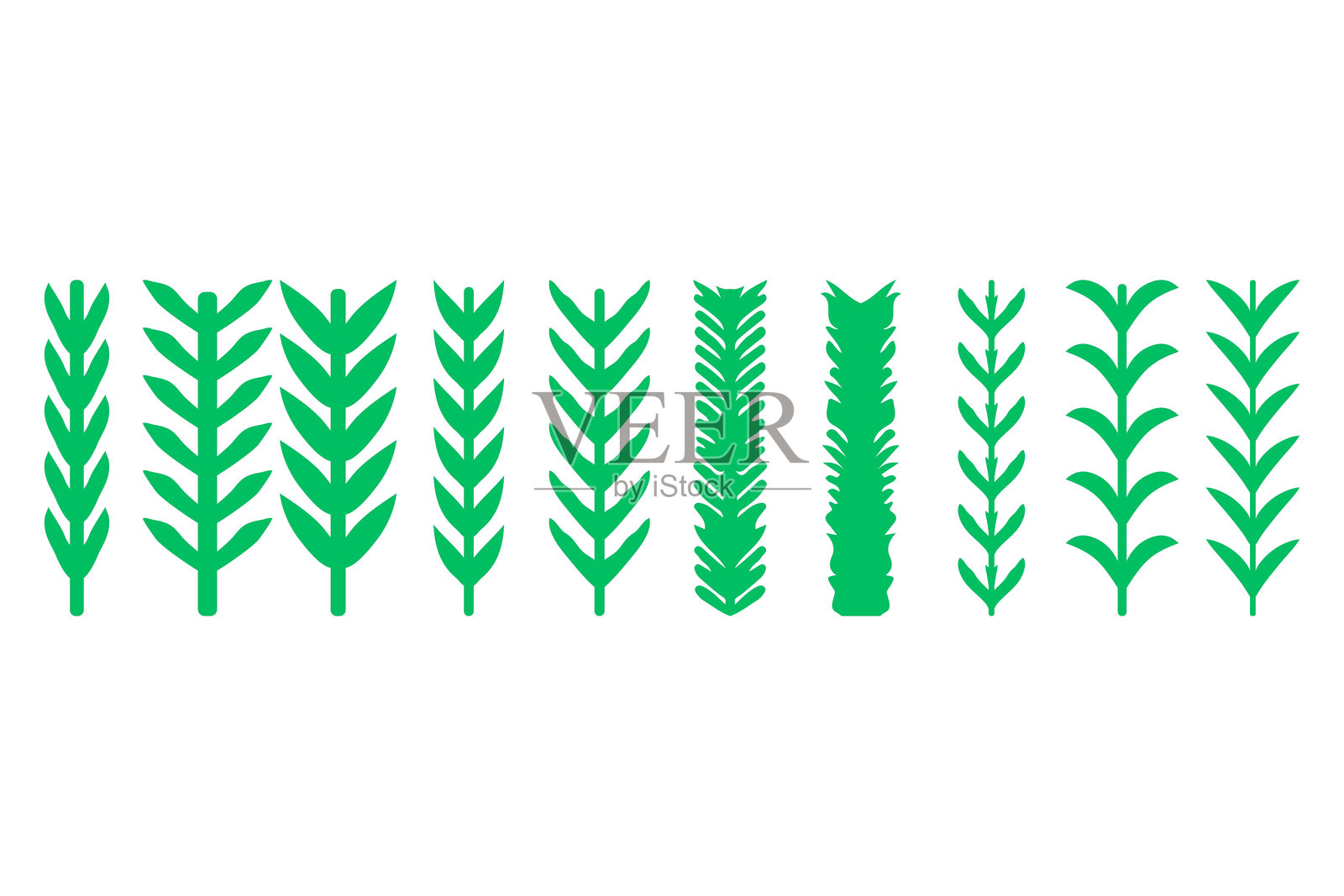 装饰性花卉图标集。自然设计插画图片素材