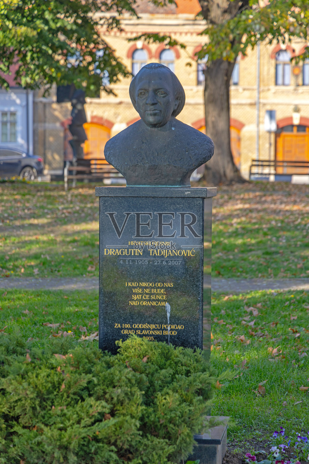 德拉古廷·塔迪亚诺维奇 克罗地亚诗人照片摄影图片