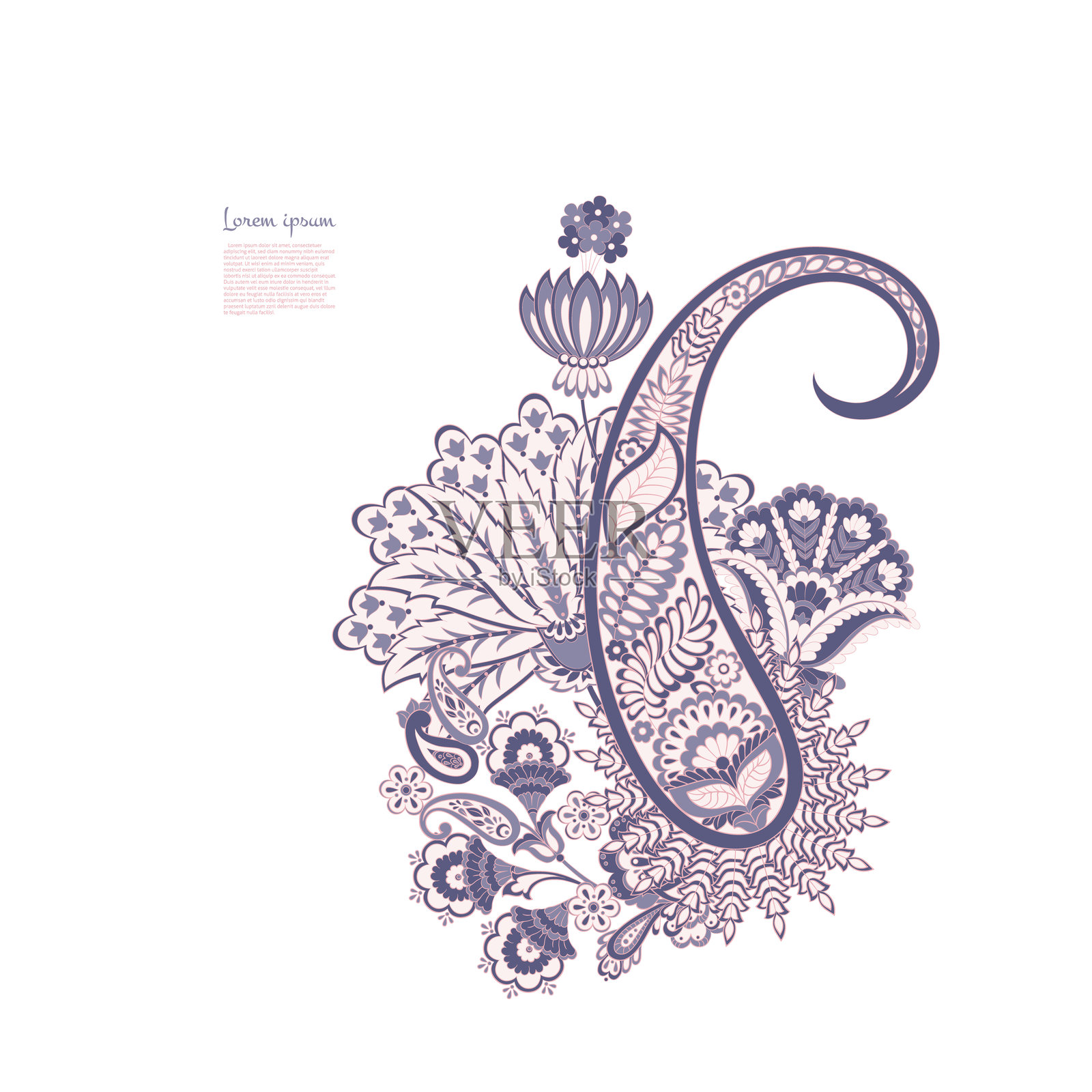 孤立的佩斯利图案。用于设计的孤立佩斯利卡片。花卉矢量图案。刺绣花卉矢量图案。插画图片素材