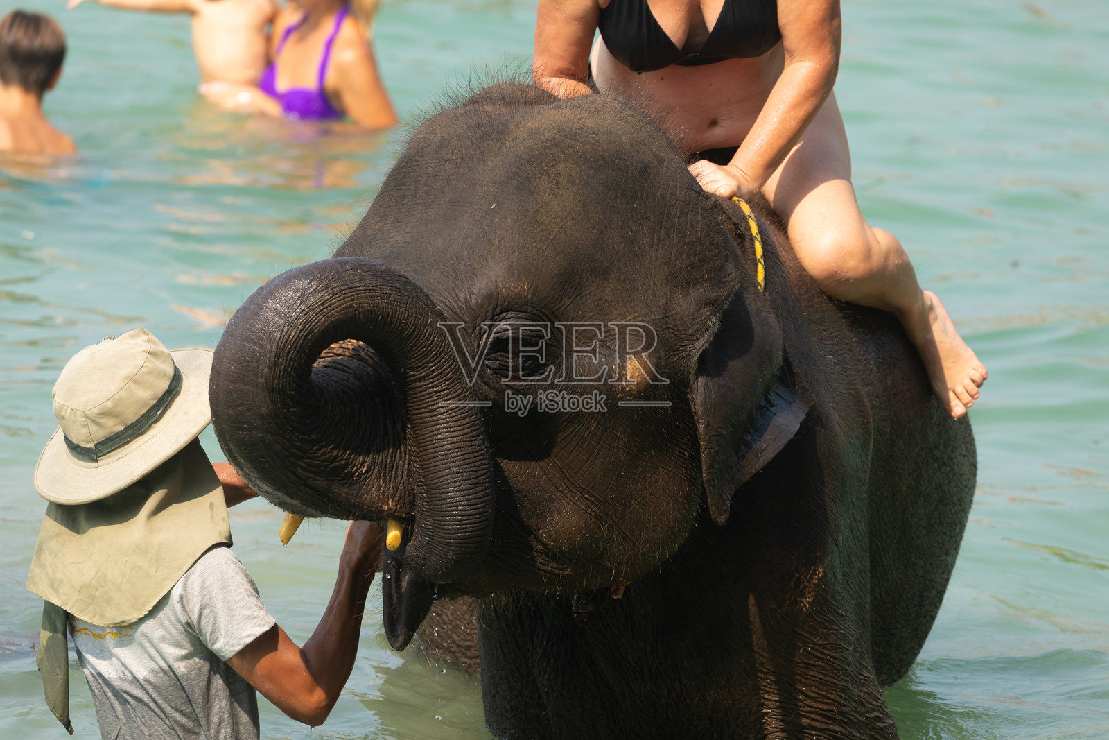 在泰国湾的长岛上，作为旅游活动的象骑行体验。照片摄影图片