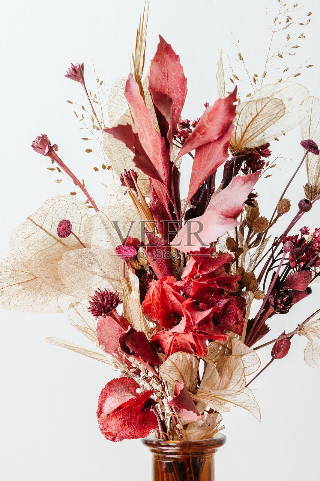 优雅的干花排列，红色和米色调。照片摄影图片