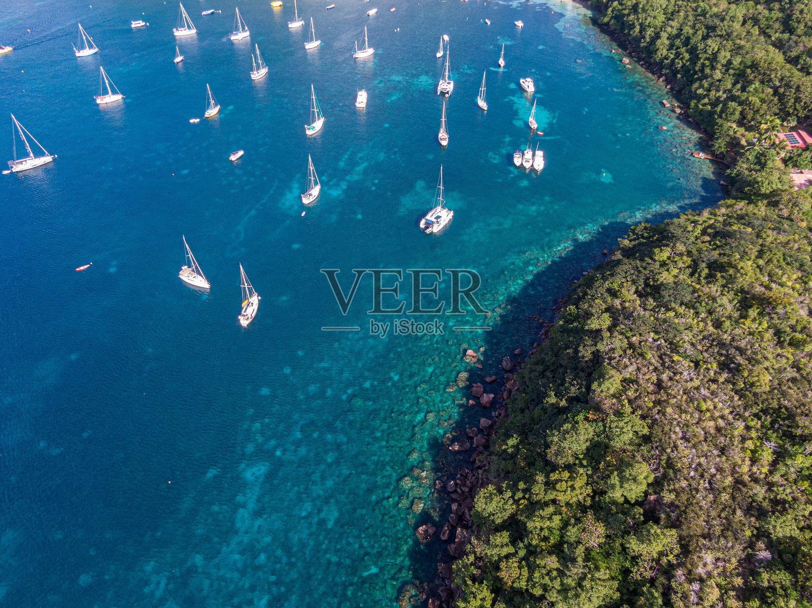 大安斯海滩：漂浮在加勒比蓝色海域的帆船，马提尼克，西印度群岛，法国照片摄影图片