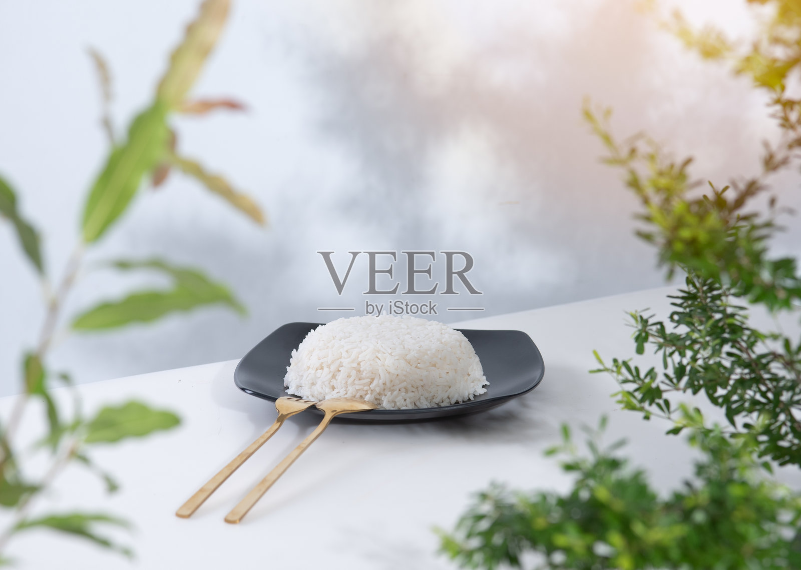 白盘中的熟米饭与绿色树叶照片摄影图片