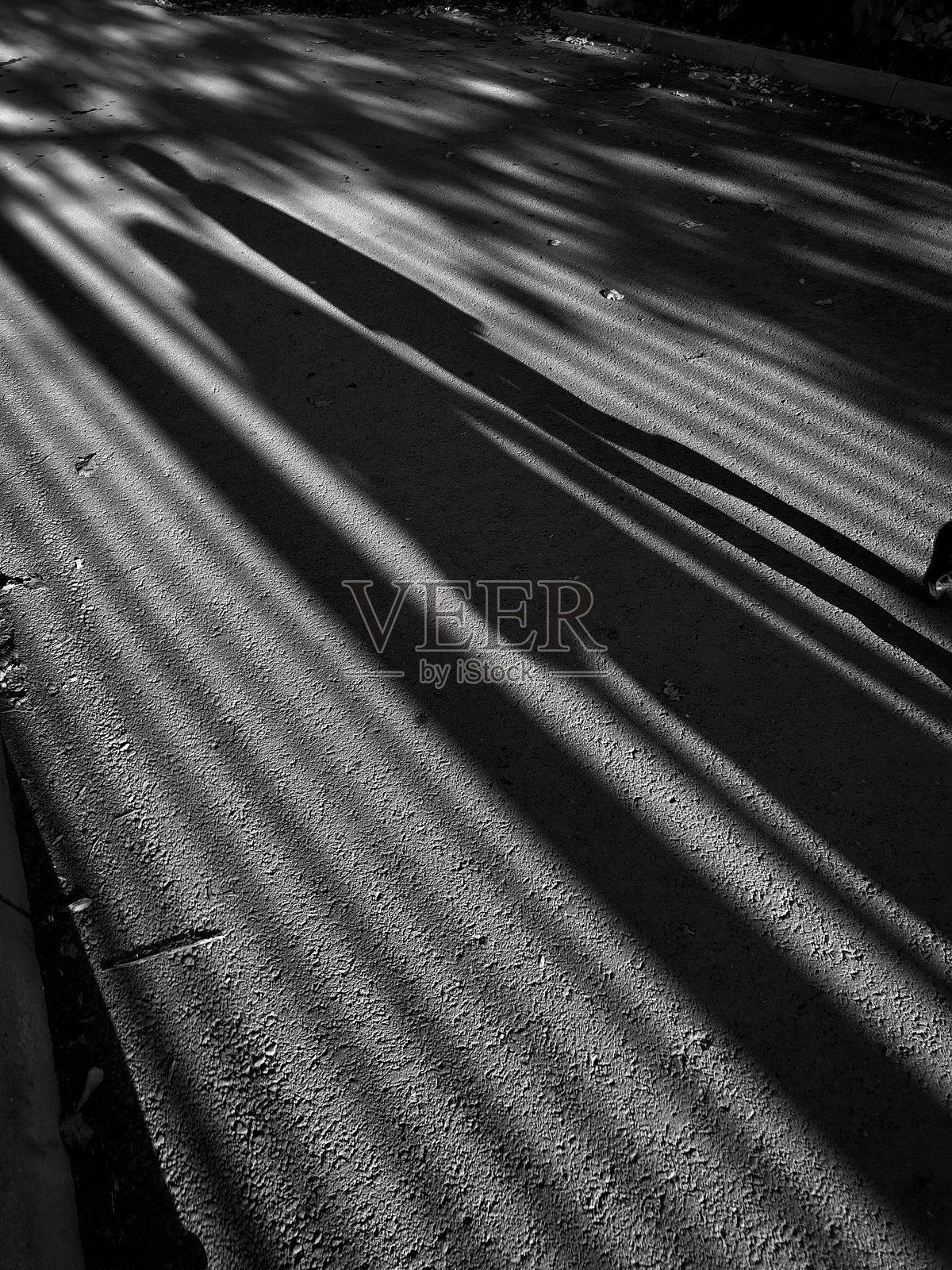 人们的影子照片摄影图片