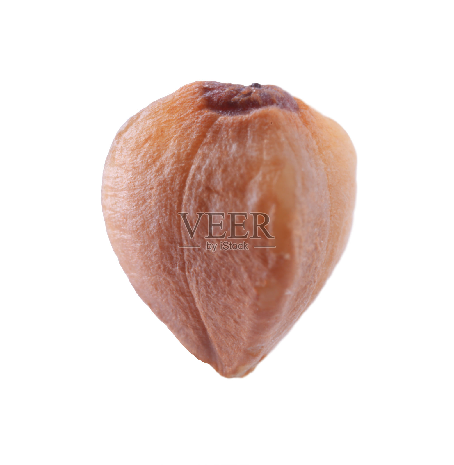 一颗孤立的荞麦种子，白色背景下的微距视图照片摄影图片