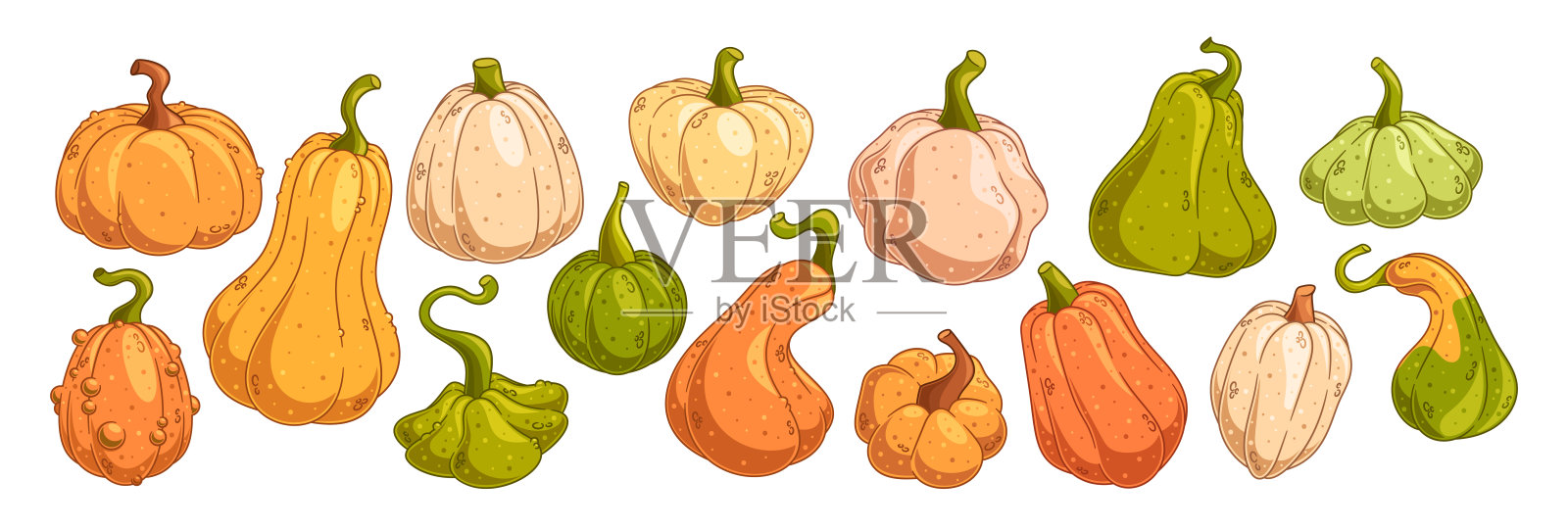 色彩斑斓的南瓜和葫芦组合，形状和颜色各异，完美适合秋季和丰收主题插画图片素材