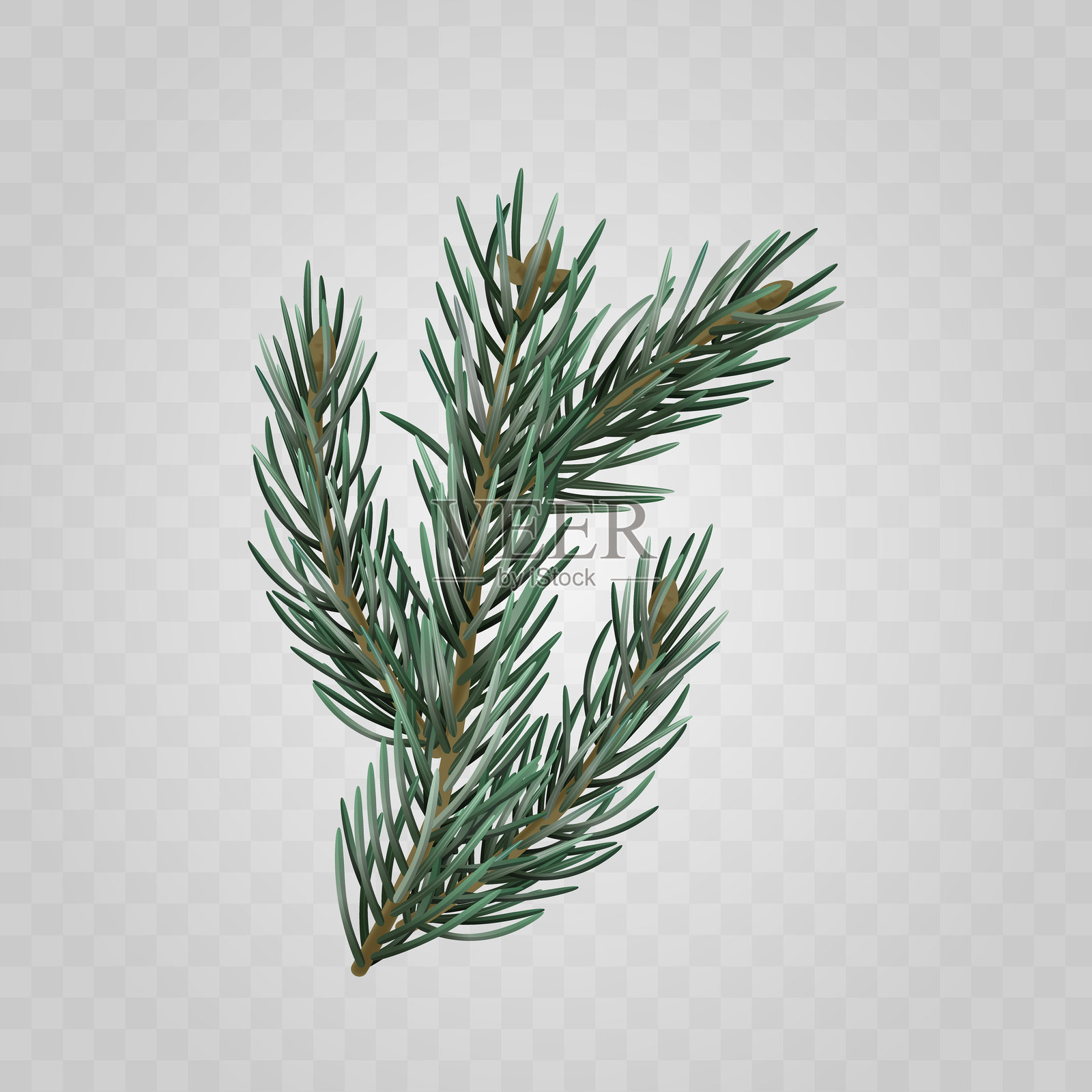 详细的松树枝逼真图像，描绘自然的松针，完美适合季节性和节日设计。插画图片素材