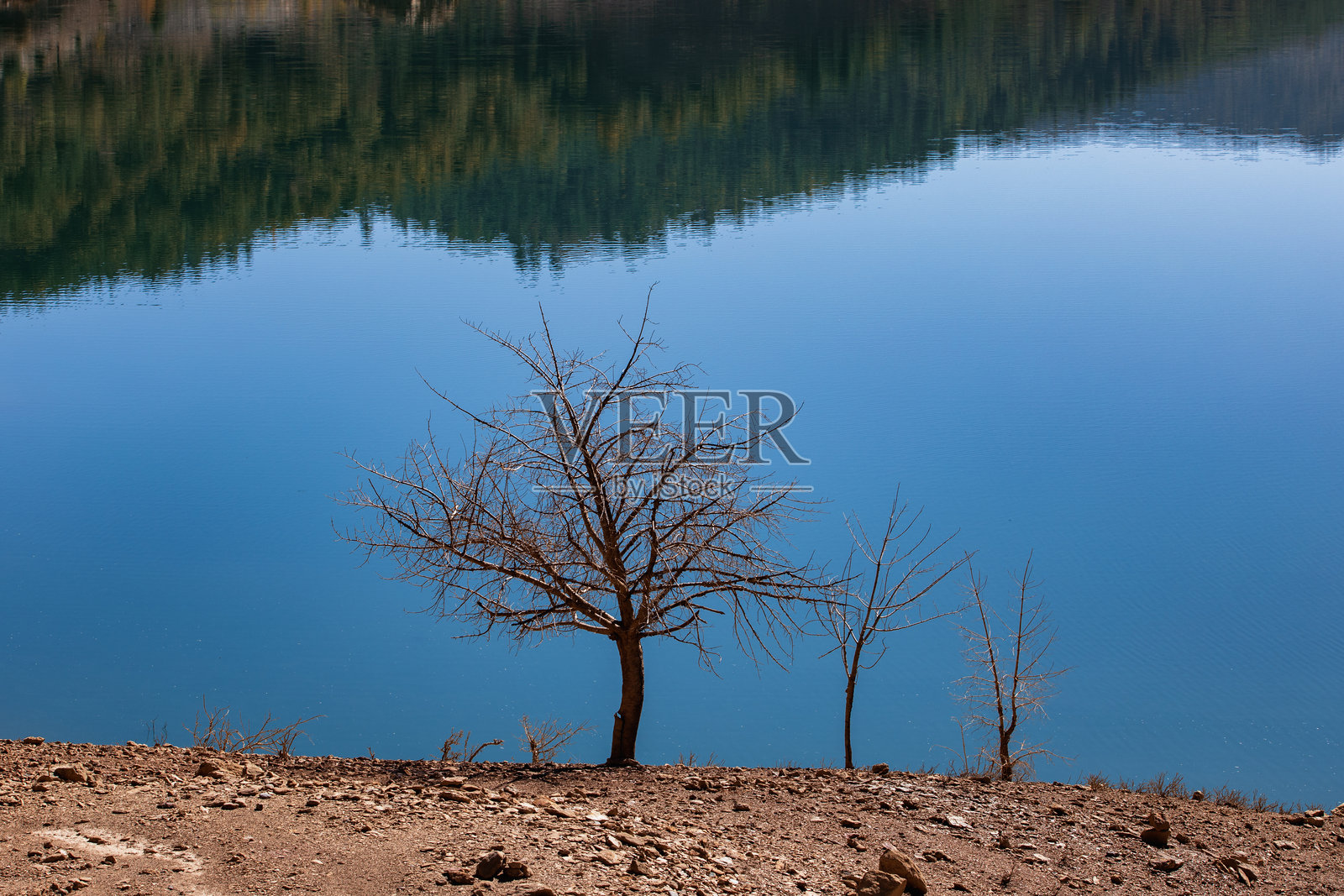 秋天的色彩\n九月、十月和十一月是树木、森林和自然中动物的秋季。红色、黄色、棕色和绿色的叶子和色彩映照在湖面上。村庄的房屋、森林的小屋、承载秋天色彩的树木、雾气和烟雾。照片摄影图片