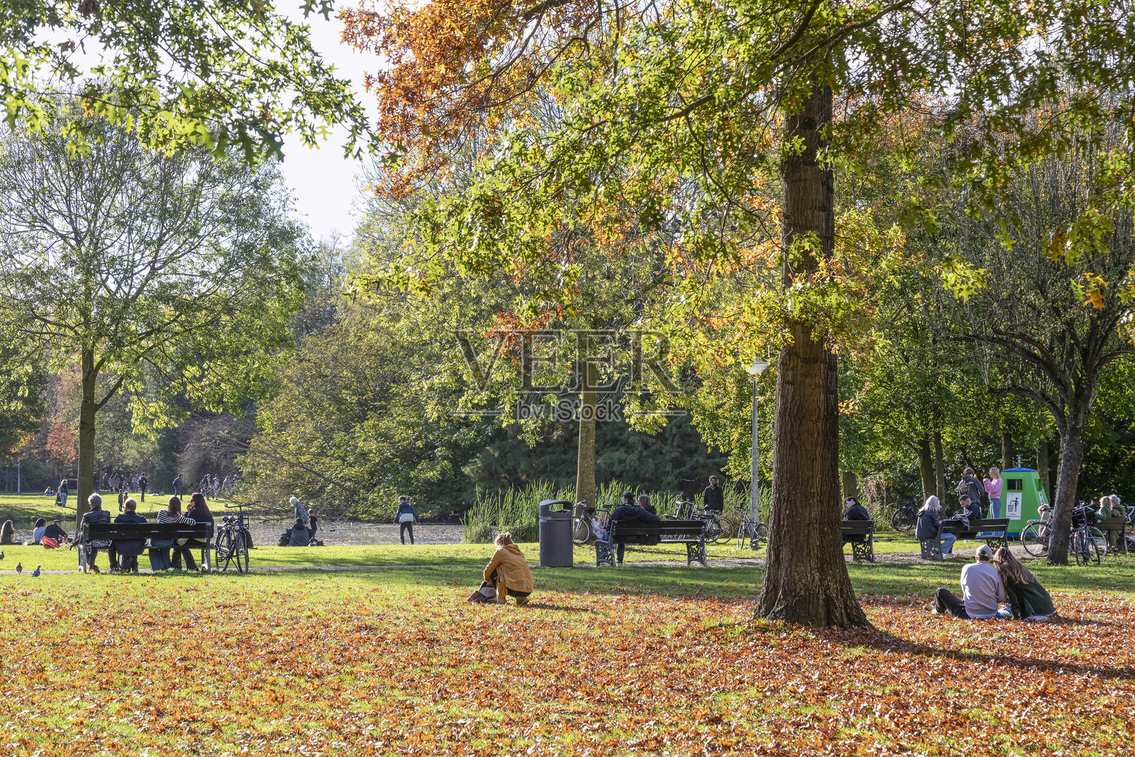 人们在阿姆斯特丹的冯德尔公园欣赏秋天的色彩。照片摄影图片