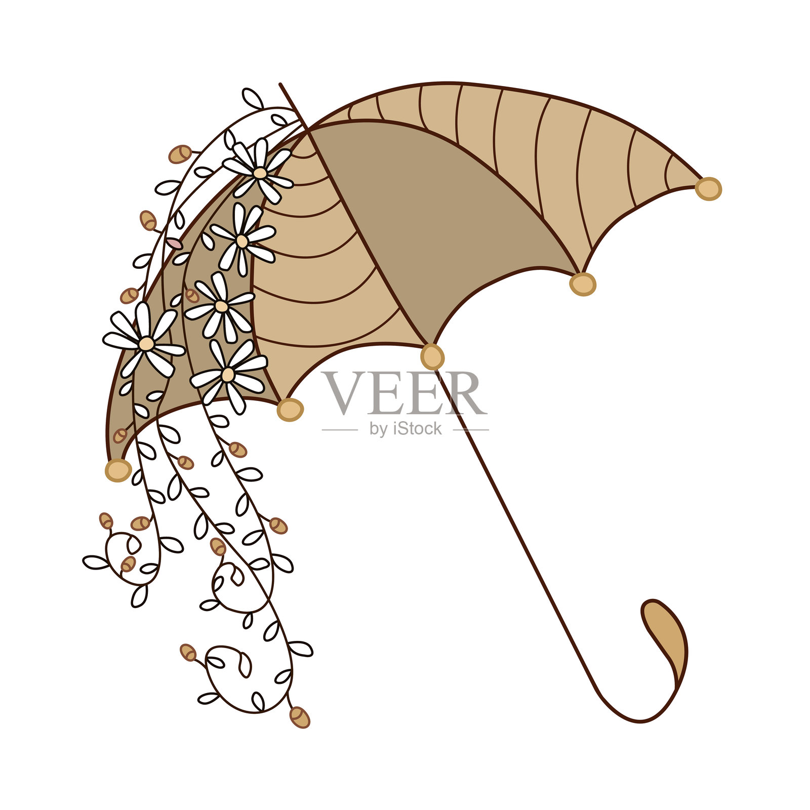 带有雏菊和藤蔓的花卉伞插画图片素材