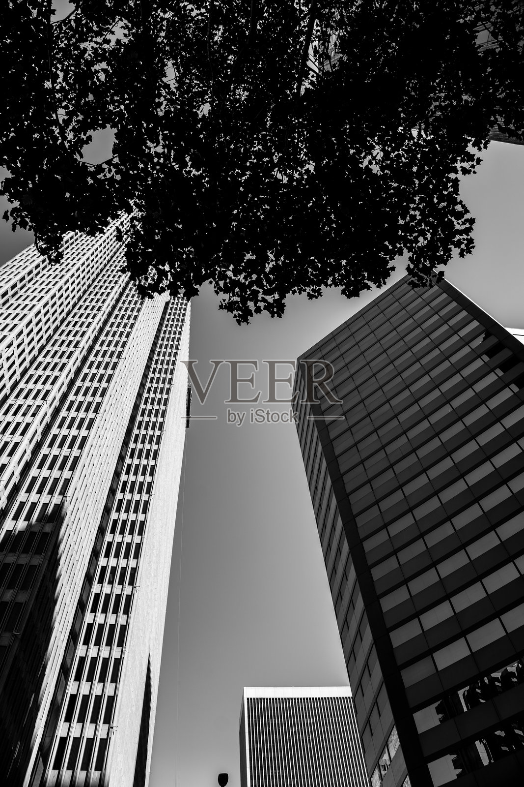 旧金山,加利福尼亚州,背景是加利福尼亚街50号的四个Embarcadero中心。照片摄影图片