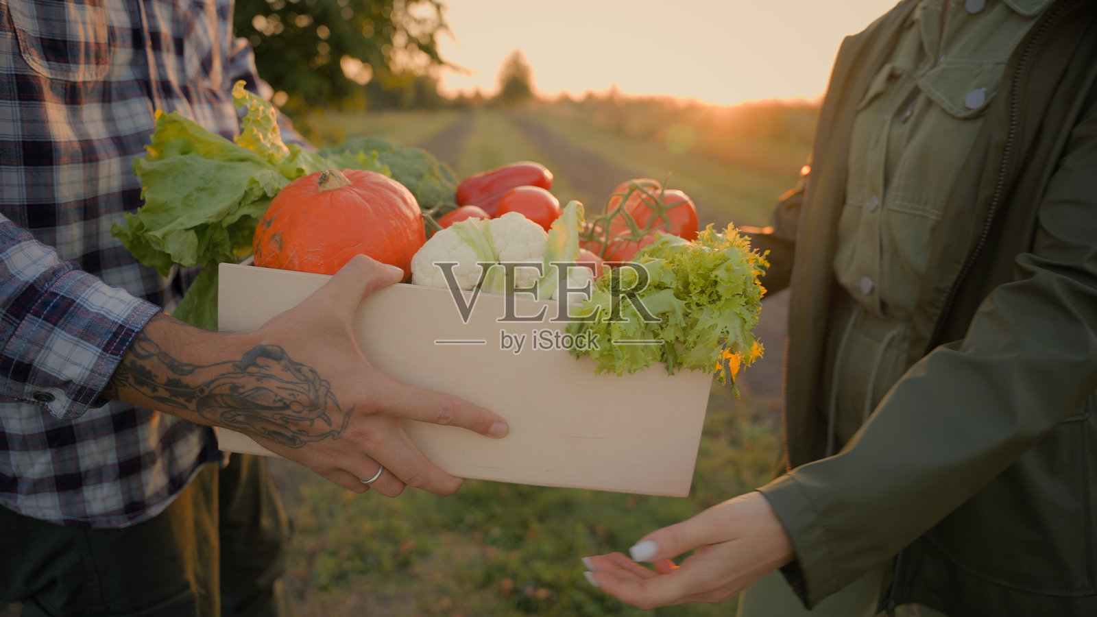无法辨认的白人男性工人农民，手中提着装有蔬菜的箱子，生态有机产品，健康饮食，送给女性客户的订单，农田里的蔬菜箱。照片摄影图片