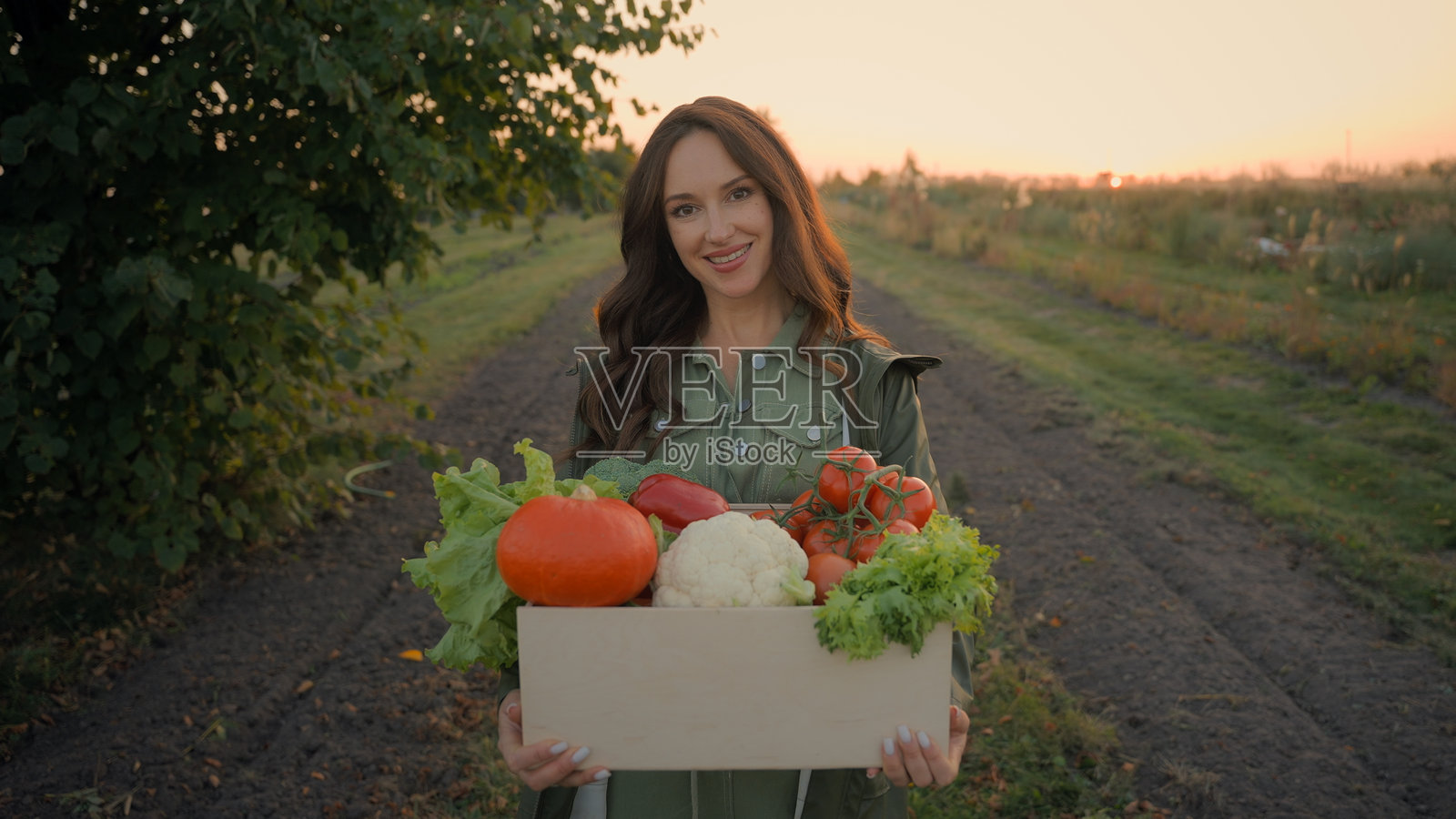 快乐的白人女性农民微笑着，双手托着装满新鲜蔬菜的箱子，站在阳光下的农田里，享受着日落时分的自然与健康生态。照片摄影图片