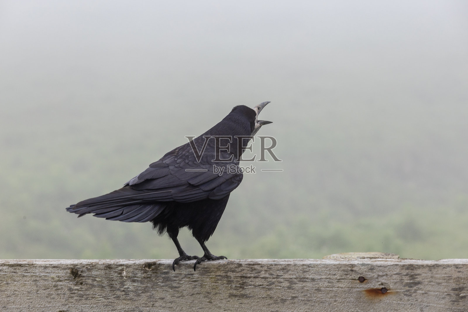 爱尔兰照片摄影图片