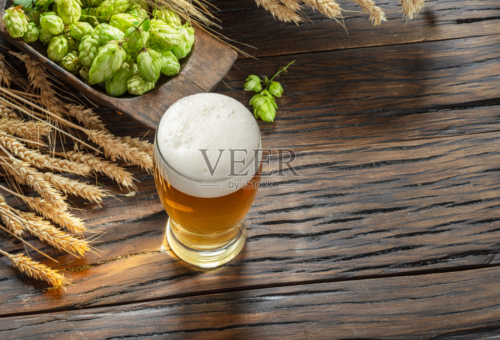 新鲜的绿色啤酒花、成熟的金色麦穗和一杯白色泡沫的啤酒放在木桌上。俯视图。照片摄影图片