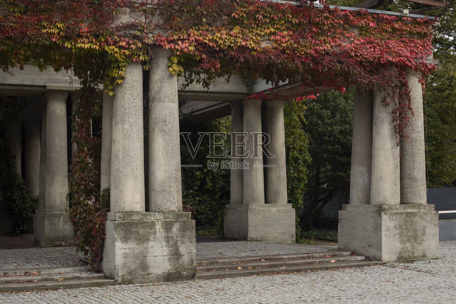 意大利风格的秋季凉亭，柱子上缠绕着少女葡萄，秋季明信片，城市公园的秋天，秋季散步照片摄影图片