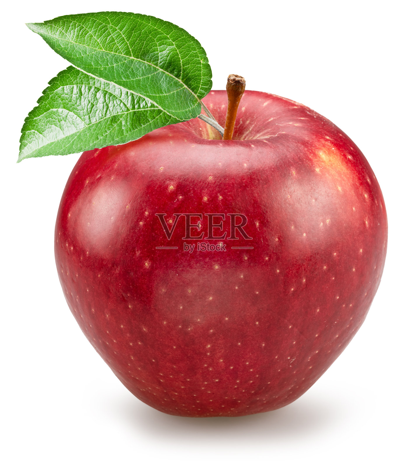 成熟的红苹果上面有绿色叶子，背景为白色。文件包含剪切路径。照片摄影图片
