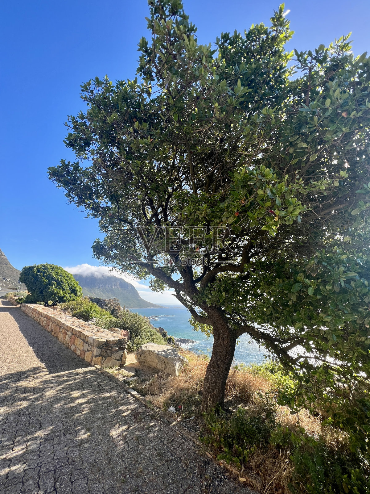 南非海岸线照片摄影图片