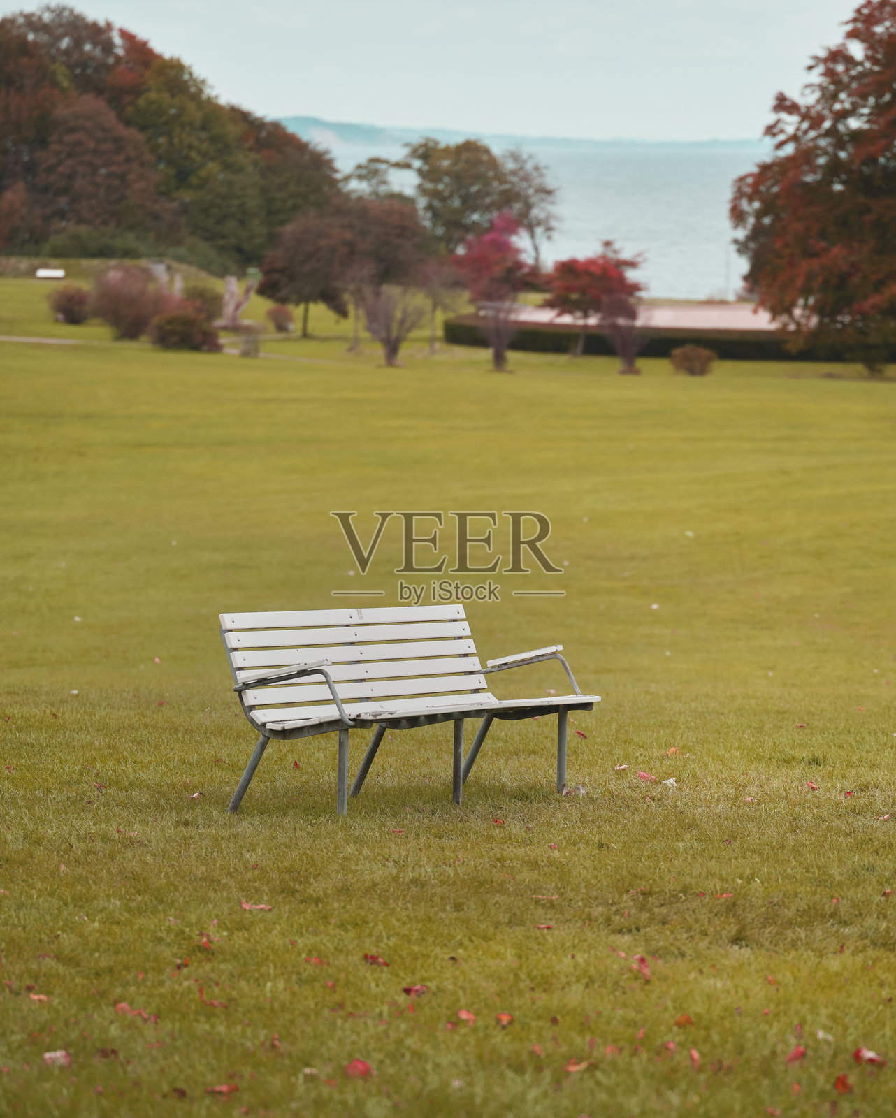 五彩斑斓的秋天照片摄影图片