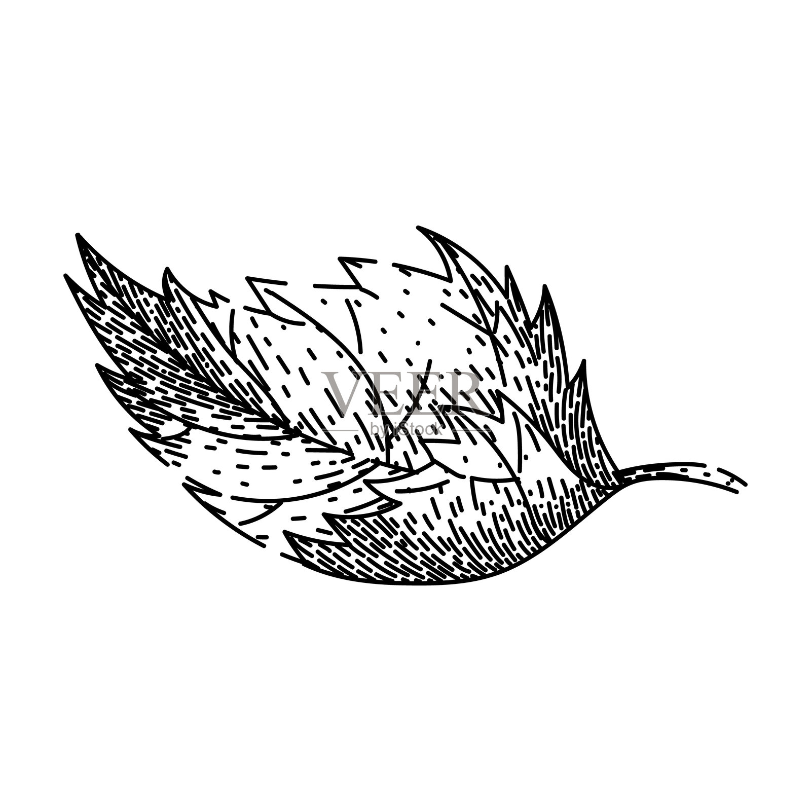 手绘的草本荨麻素描矢量图插画图片素材