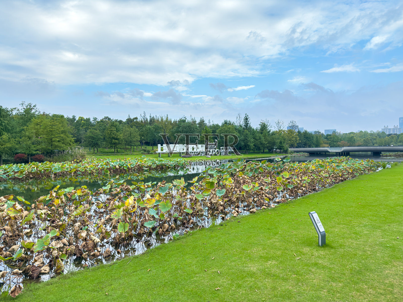市民和游客在中国上海的公共公园里玩耍照片摄影图片