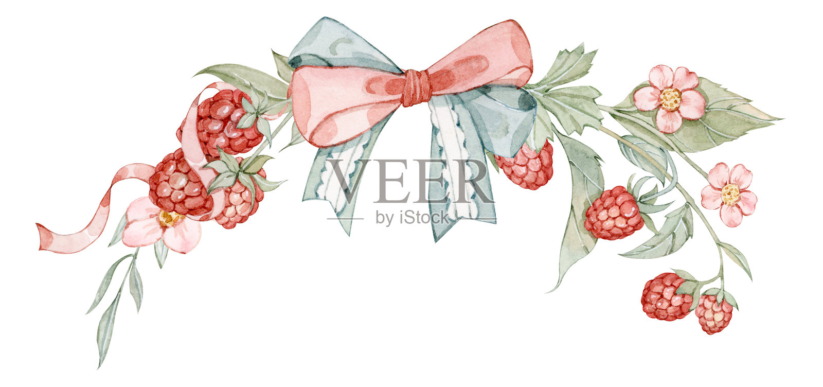 覆盆子和蝴蝶结植物的插图插画图片素材