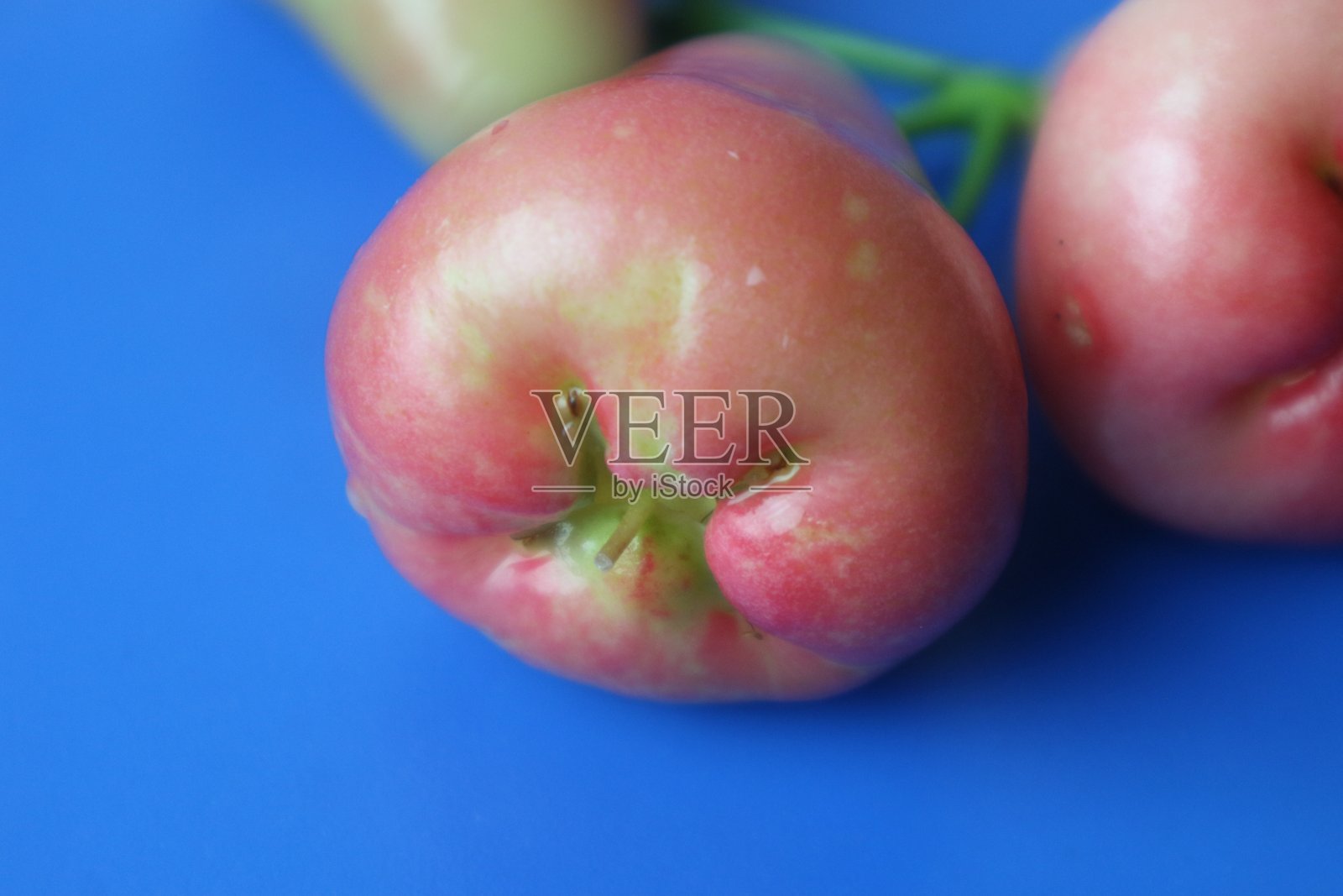 番石榴在蓝色背景上呈现绿色和红色。照片摄影图片