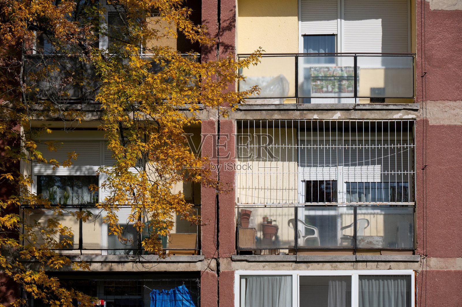 阳光下的公寓阳台与秋天的树木照片摄影图片