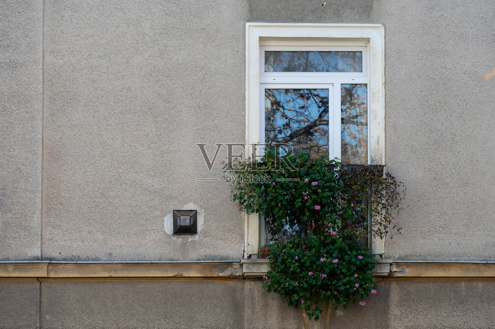 带花箱的窗户与纹理墙面照片摄影图片
