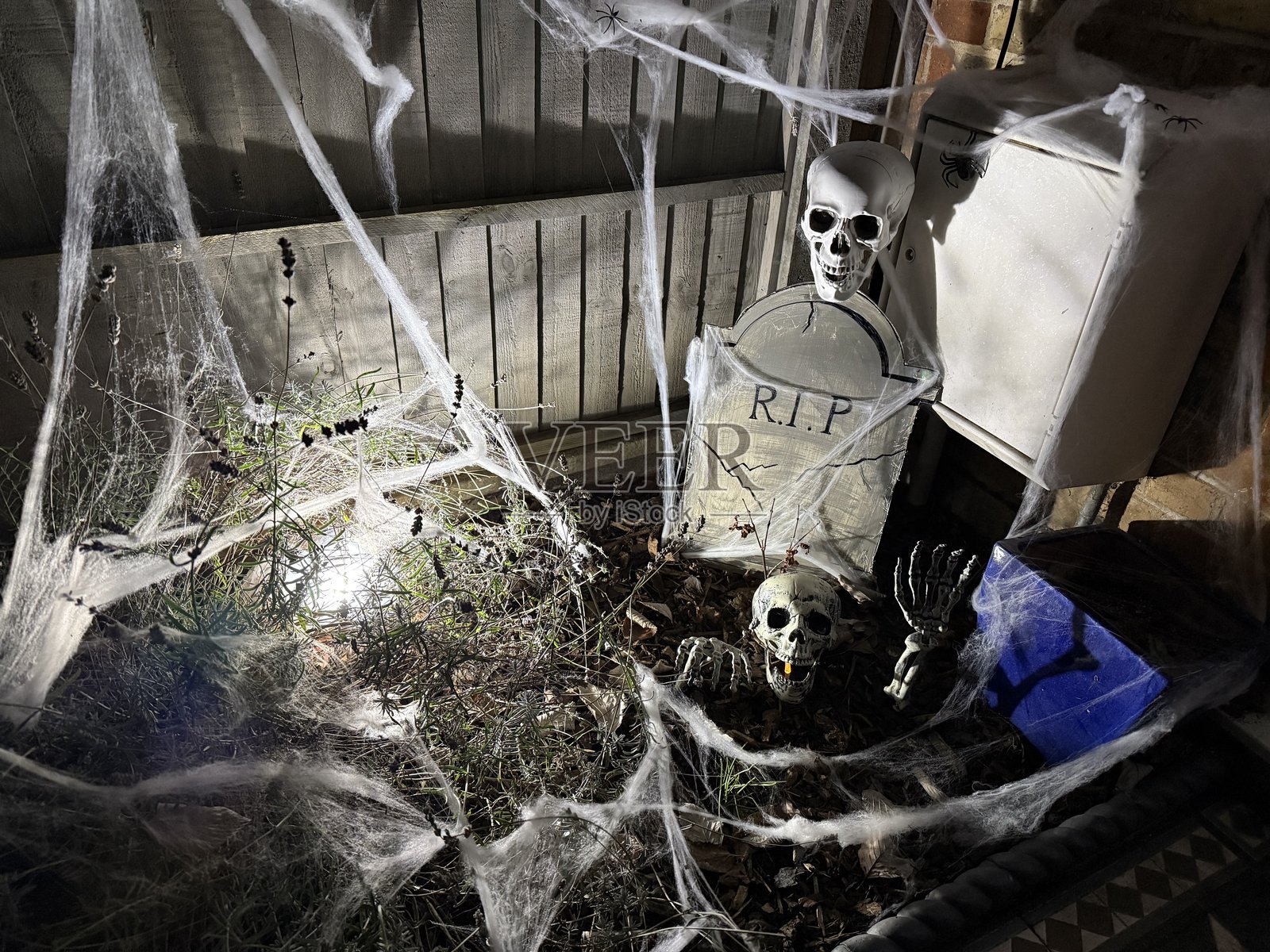 阴森的花园照片摄影图片