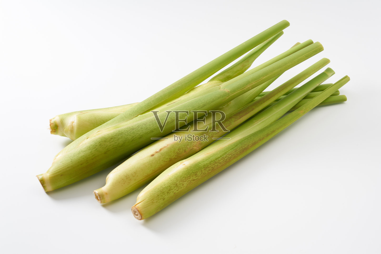 满洲野米，秋天的味道照片摄影图片