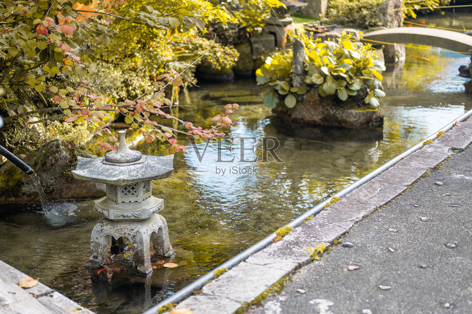 日本岐阜县白川乡。宁静的花园场景，特色石灯、平滑的水面和生机勃勃的绿植。照片摄影图片