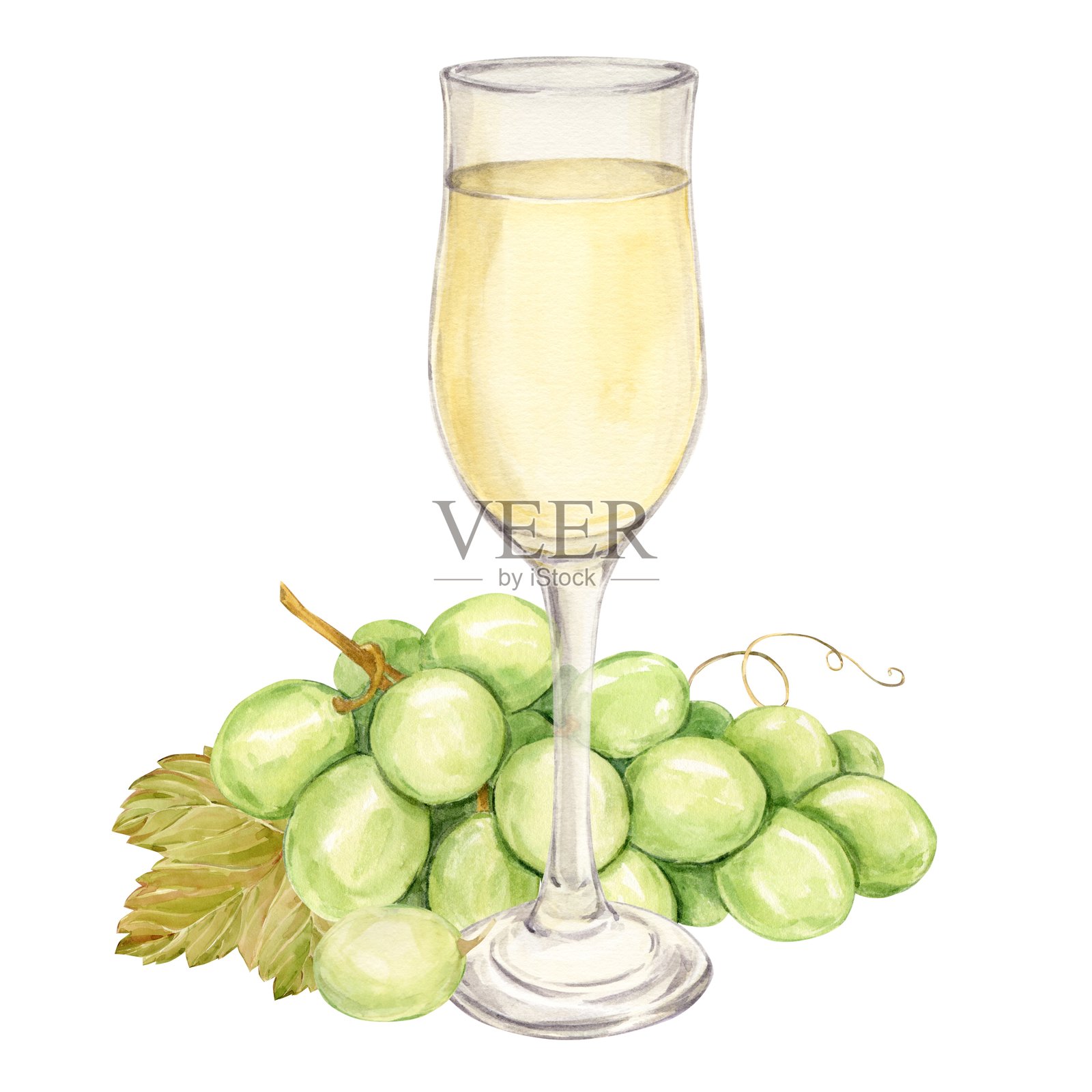 水彩画的白葡萄枝条放在桌子上，旁边是一杯白葡萄酒。绿色浆果和叶子的插图，背景为单色。起泡酒。节日鸡尾酒。照片摄影图片