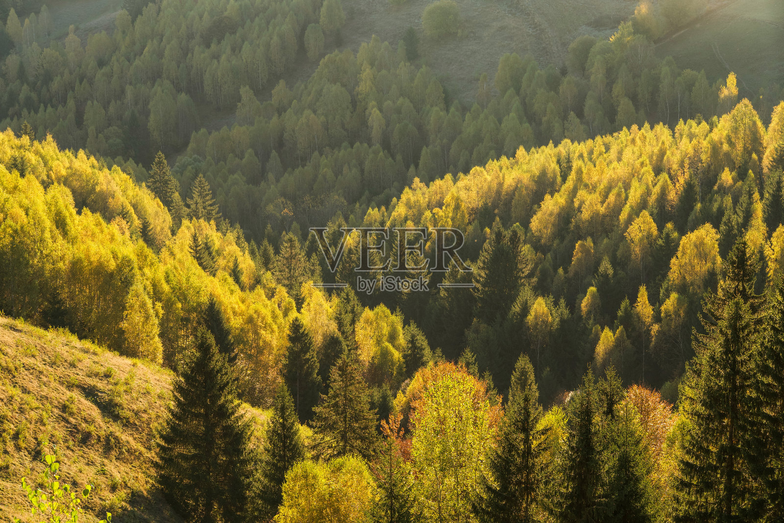 罗马尼亚布拉索夫的佩斯特拉村日出照片摄影图片