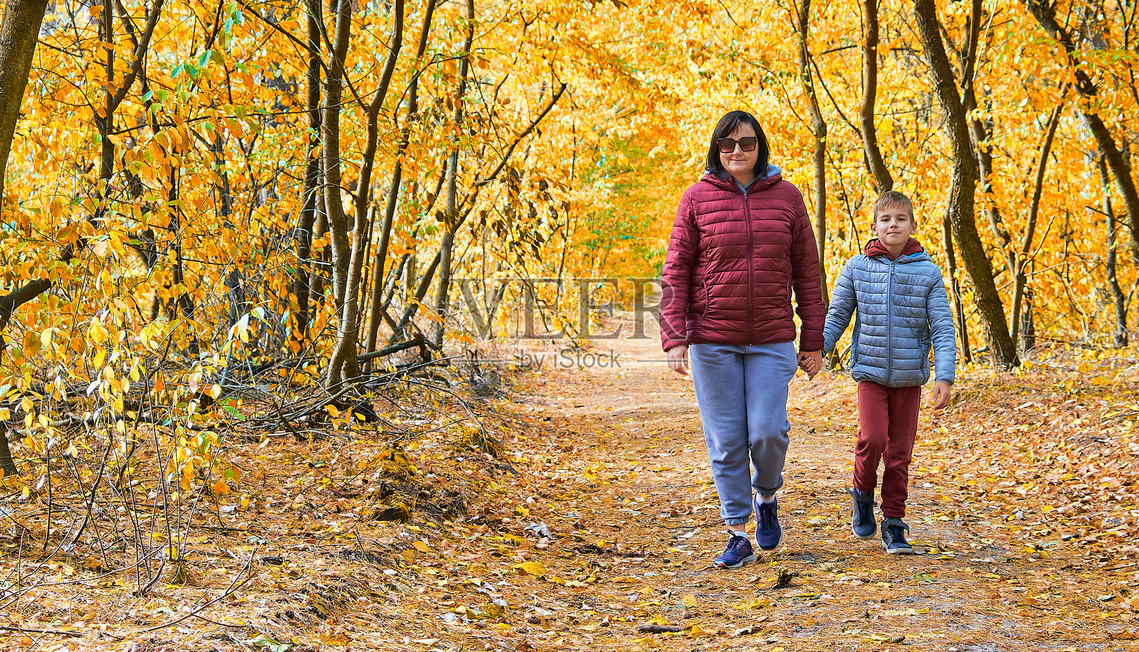 秋天在森林小径上漫步照片摄影图片