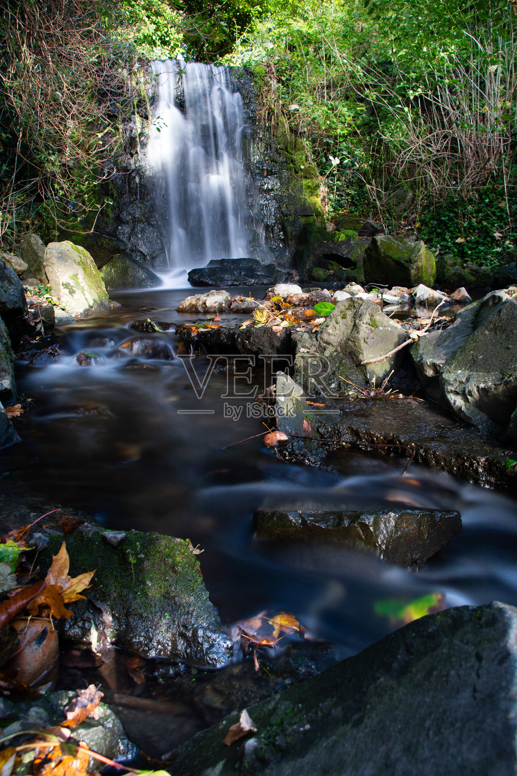 瀑布被森林中的岩石和树叶环绕照片摄影图片