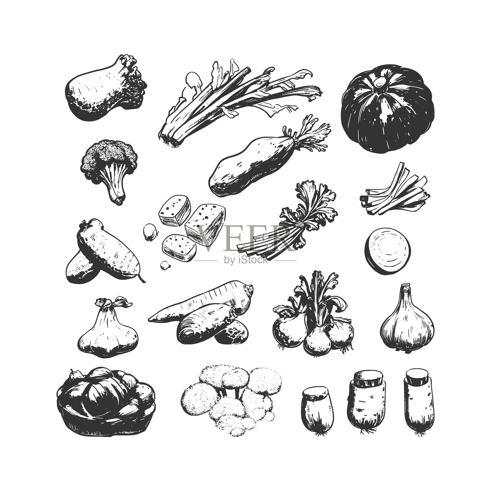 复古蔬菜插图，包含南瓜、韭菜、大蒜和根茎作物。乡村风格的线条艺术，适合农场品牌、环保包装和有机食品营销材料。插画图片素材