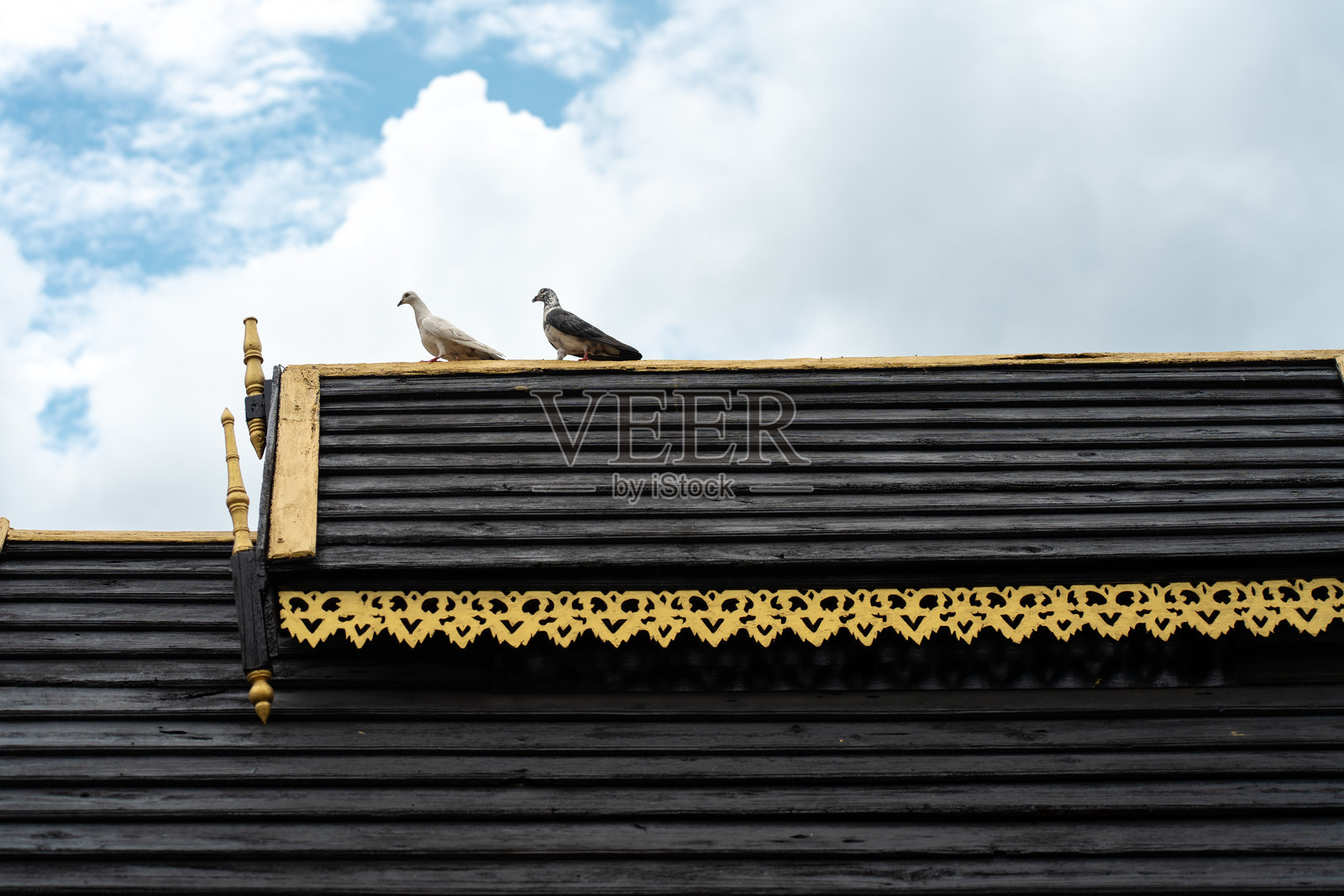 一对岩鸽站在老式泰国木屋的传统屋顶设计上。照片摄影图片