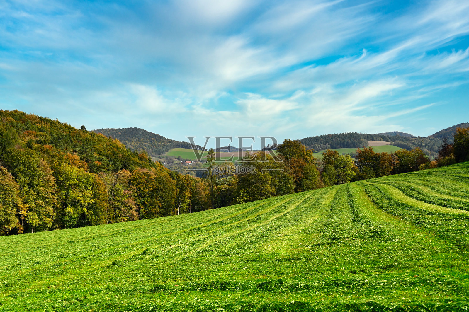 奥地利的乡村风景，刚割下的干草风堆在阳光下晾晒，待打包。照片摄影图片