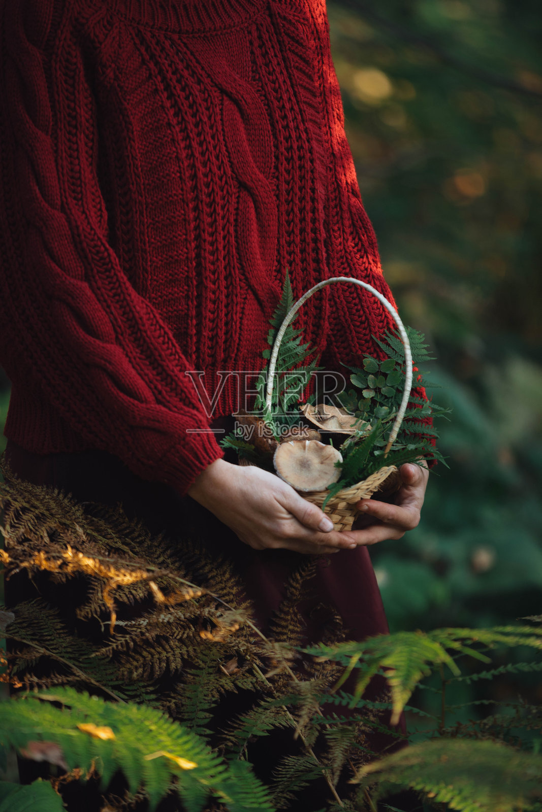 一个穿着舒适红色毛衣的人站在生机勃勃的蕨类植物中，怀抱着一个装满蘑菇和新鲜绿叶的精美篮子，正值秋季。照片摄影图片