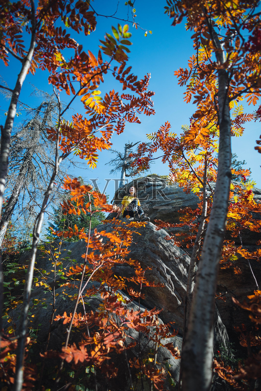 一个穿着黄色衬衫的人坐在一块大石头上，周围是五彩斑斓的秋叶，享受着自然户外环境中的阳光明媚天气。照片摄影图片