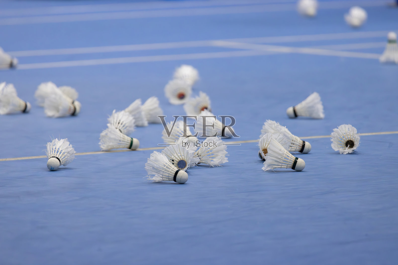 一组羽毛球散落在蓝色的场地上，羽毛球躺在地面上。训练羽毛球的概念充满了趣味和休闲。照片摄影图片