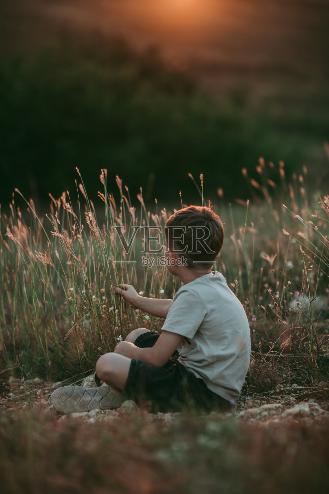 一个七岁左右的男孩，背影，金色头发，穿着米色T恤和黑色短裤，坐在草地上，背景是日落。照片摄影图片